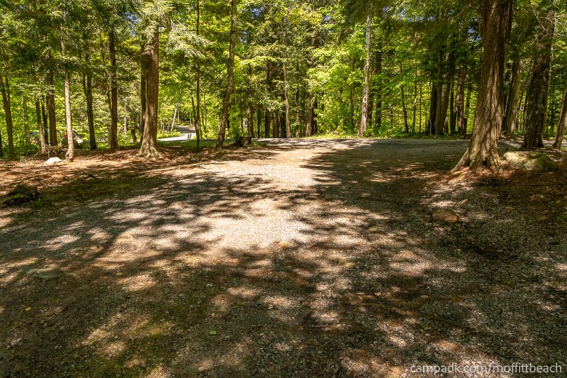 Campsite Photo of Site 193 at Moffitt Beach Campground, New York - Looking Back Towards Road