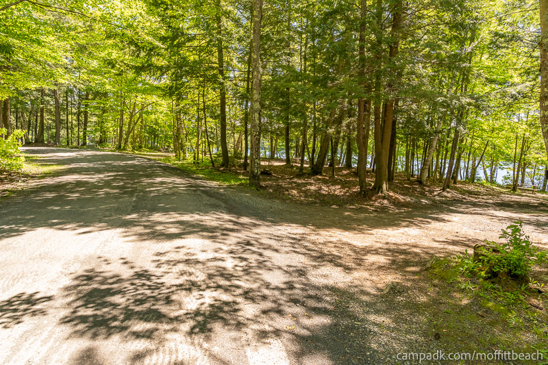 Campsite Photo of Site 193 at Moffitt Beach Campground, New York - View Down Road from Campsite