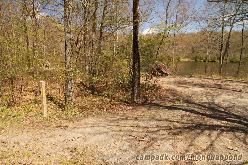 Campsite Photo of Site 136 at Mongaup Pond, New York - Looking at Site from Road Sign Visible