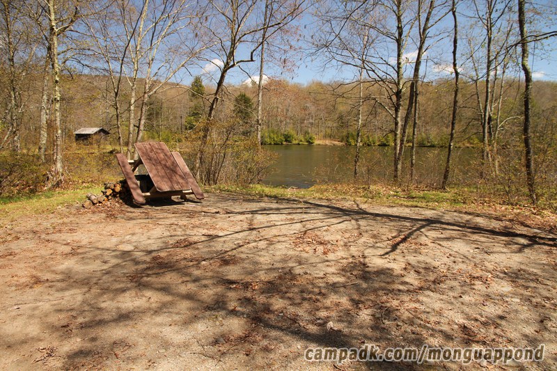 Campsite Photo of Site 136 at Mongaup Pond, New York - Looking at Site from Part Way In