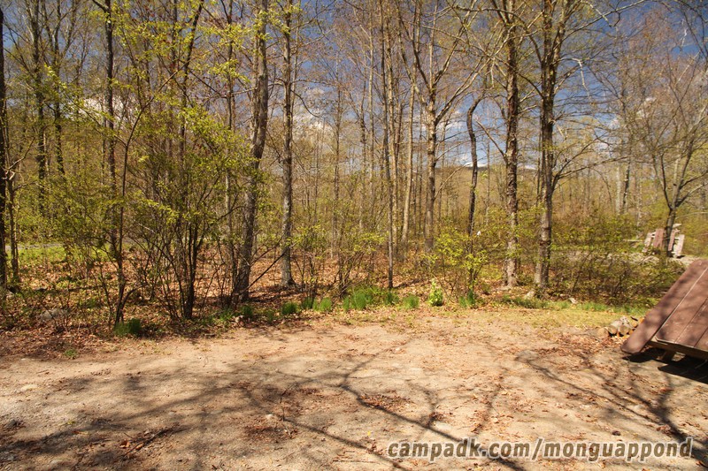 Campsite Photo of Site 136 at Mongaup Pond, New York - Cross Site View