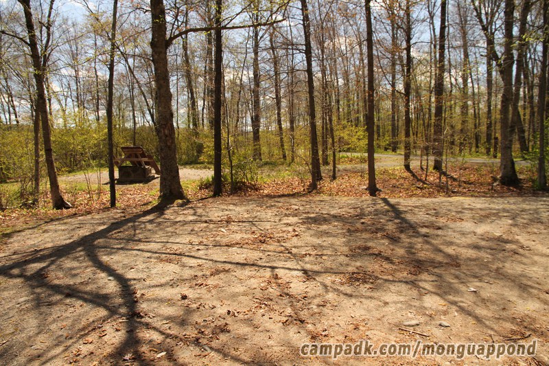 Campsite Photo of Site 136 at Mongaup Pond, New York - Cross Site View