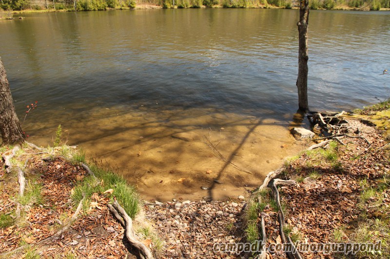 Campsite Photo of Site 136 at Mongaup Pond, New York - Shoreline