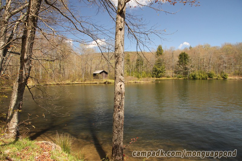 Campsite Photo of Site 136 at Mongaup Pond, New York - View from Shoreline