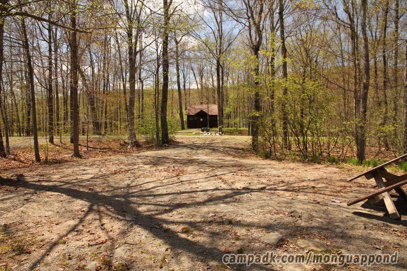 Campsite Photo of Site 136 at Mongaup Pond, New York - Looking Back Towards Road
