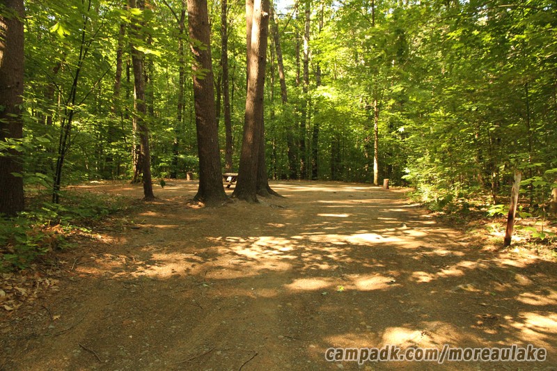 Campsite Photo of Site 83 at Moreau Lake State Park, New York - Looking at Site from Road