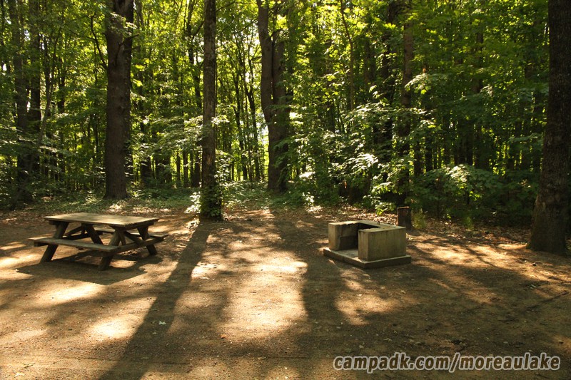 Campsite Photo of Site 83 at Moreau Lake State Park, New York - Cross Site View