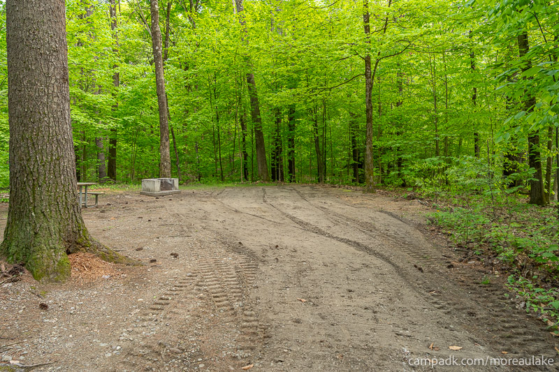 Campsite Photo of Site 83 at Moreau Lake State Park, New York - Looking at Site from Part Way In