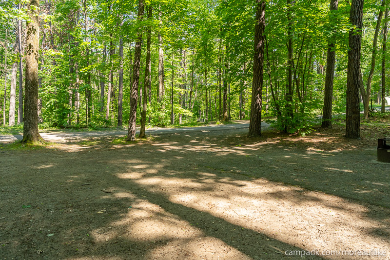 Campsite Photo of Site 28 at Moreau Lake State Park, New York - Looking Back Towards Road