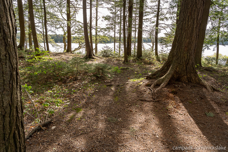 Campsite Photo of Site 70 at Nicks Lake Campground, New York - Pathway Down to Water