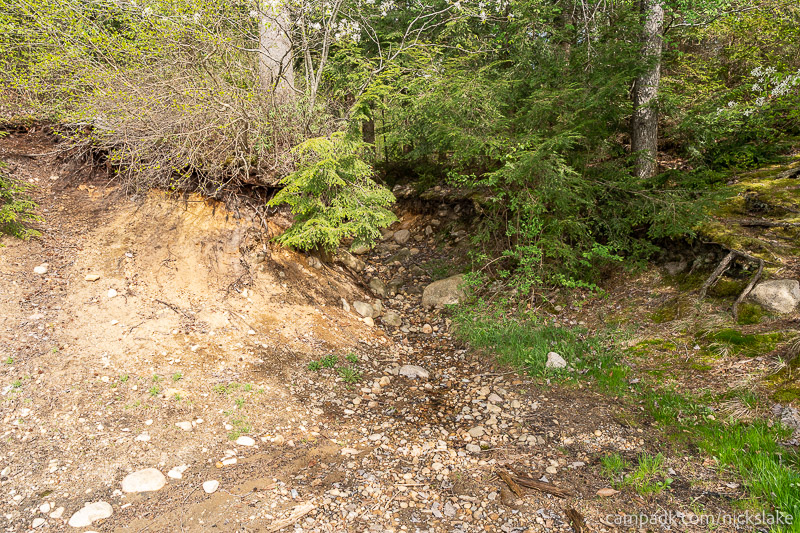 Campsite Photo of Site 70 at Nicks Lake Campground, New York - Returning Along Pathway from Water