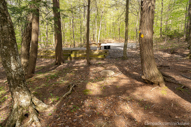 Campsite Photo of Site 70 at Nicks Lake Campground, New York - Returning Along Pathway from Water