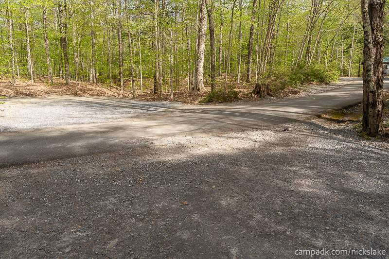 Campsite Photo of Site 70 at Nicks Lake Campground, New York - Looking Back Towards Road