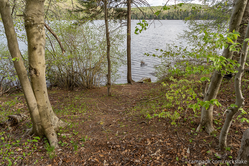 Campsite Photo of Site 112 at Nicks Lake Campground, New York - Pathway Down to Water