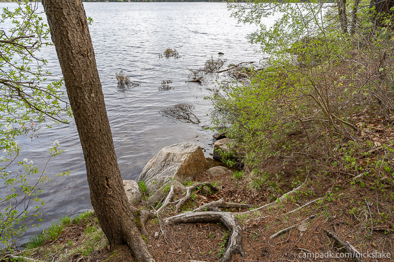 Campsite Photo of Site 112 at Nicks Lake Campground, New York - Shoreline