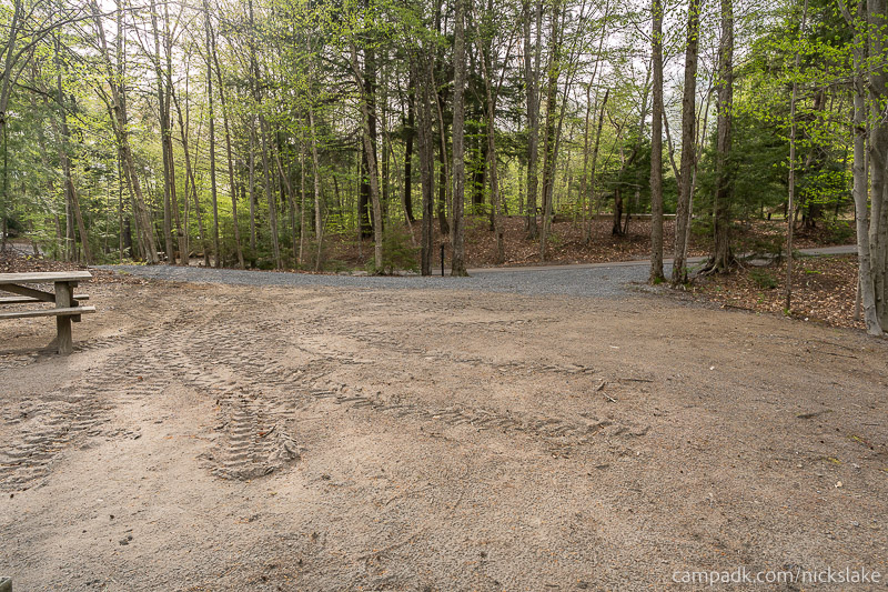 Campsite Photo of Site 112 at Nicks Lake Campground, New York - Looking Back Towards Road