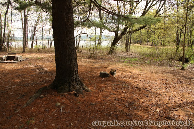 Campsite Photo of Site 98 at Northampton Beach Campground, New York - Cross Site View