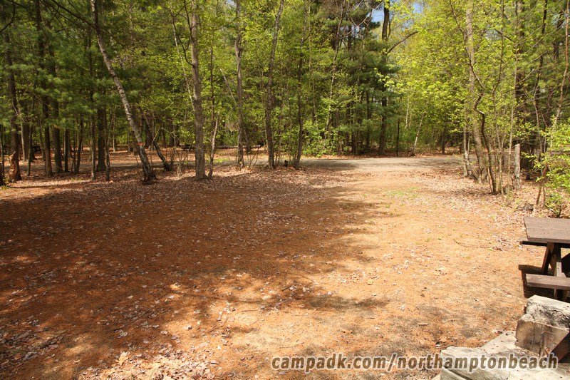 Campsite Photo of Site 98 at Northampton Beach Campground, New York - Looking Back Towards Road