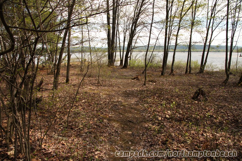 Campsite Photo of Site 98 at Northampton Beach Campground, New York - Pathway Down to Water