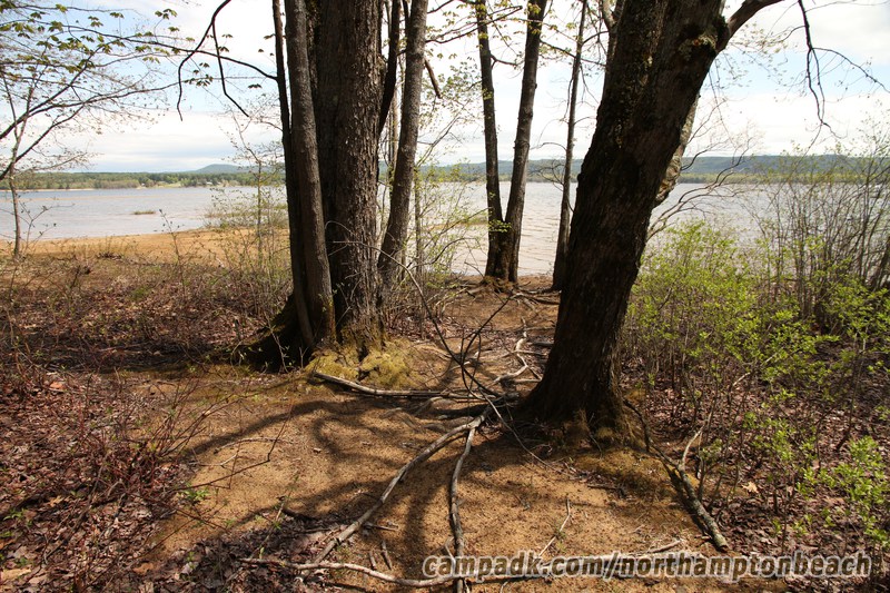 Campsite Photo of Site 98 at Northampton Beach Campground, New York - Pathway Down to Water