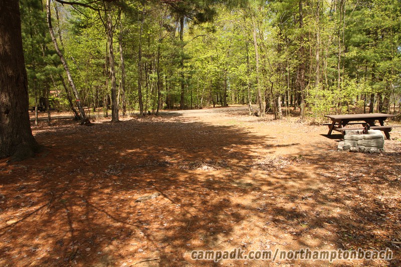 Campsite Photo of Site 98 at Northampton Beach Campground, New York - Looking Back Towards Road