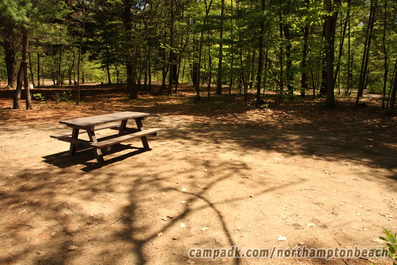 Campsite Photo of Site 74 at Northampton Beach Campground, New York - Cross Site View