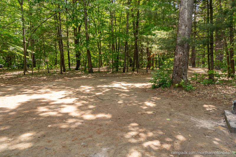 Campsite Photo of Site 74 at Northampton Beach Campground, New York - Looking Back Towards Road