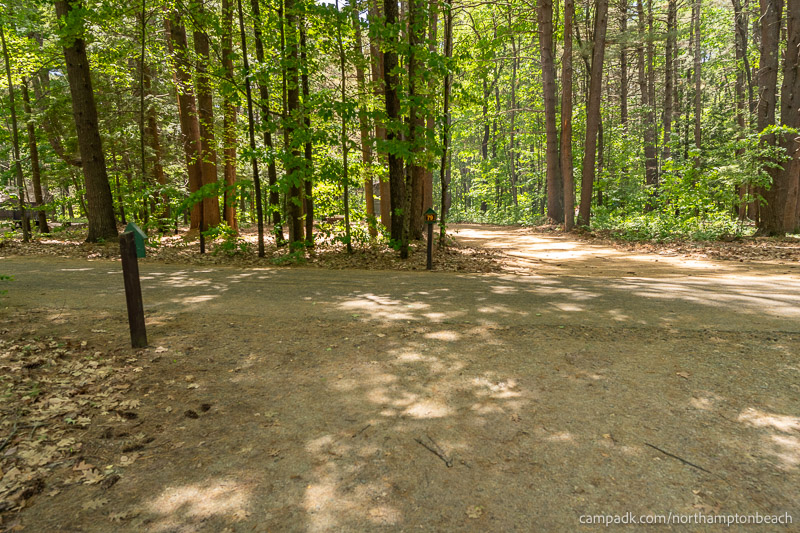 Campsite Photo of Site 74 at Northampton Beach Campground, New York - Looking Back Towards Road