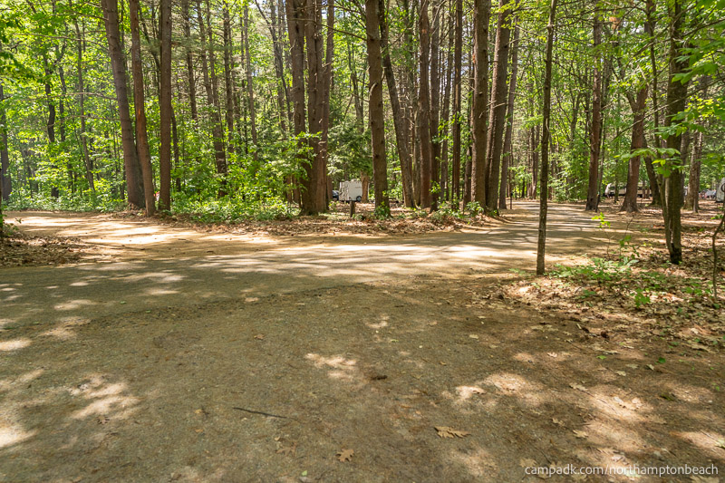 Campsite Photo of Site 74 at Northampton Beach Campground, New York - Looking Back Towards Road