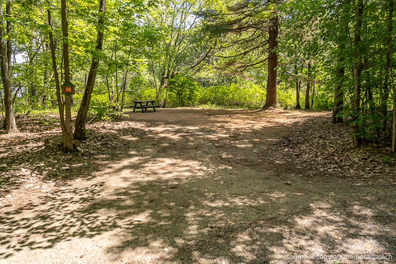 Campsite Photo of Site 98 at Northampton Beach Campground, New York - Looking at Site from Road Sign Visible