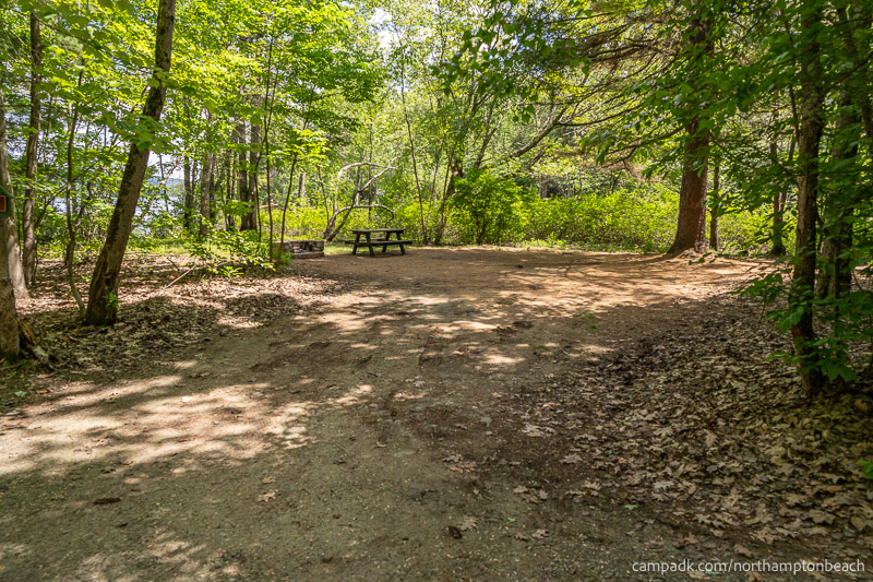 Campsite Photo of Site 98 at Northampton Beach Campground, New York - Looking at Site from Road