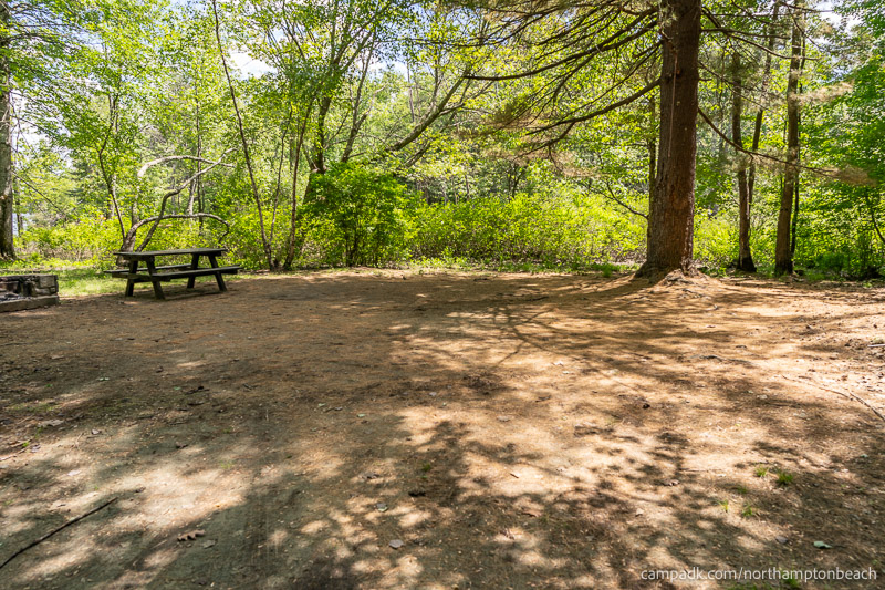 Campsite Photo of Site 98 at Northampton Beach Campground, New York - Looking at Site from Part Way In
