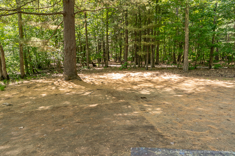 Campsite Photo of Site 98 at Northampton Beach Campground, New York - Cross Site View