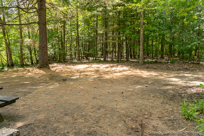 Campsite Photo of Site 98 at Northampton Beach Campground, New York - Cross Site View
