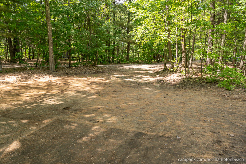 Campsite Photo of Site 98 at Northampton Beach Campground, New York - Looking Back Towards Road