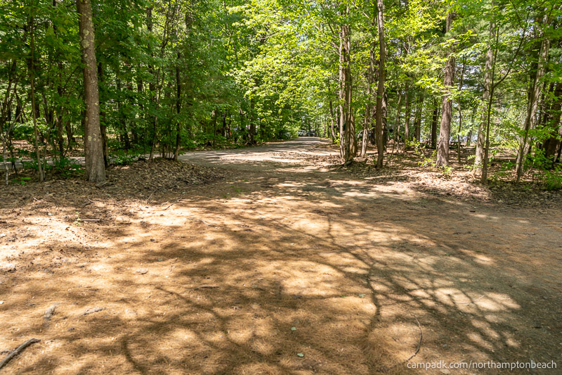 Campsite Photo of Site 98 at Northampton Beach Campground, New York - Looking Back Towards Road