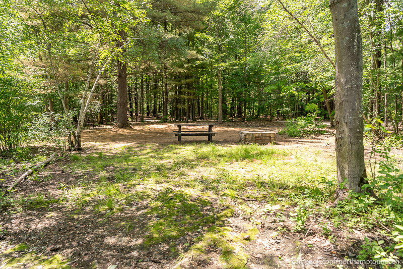 Campsite Photo of Site 98 at Northampton Beach Campground, New York - Returning Along Pathway from Water