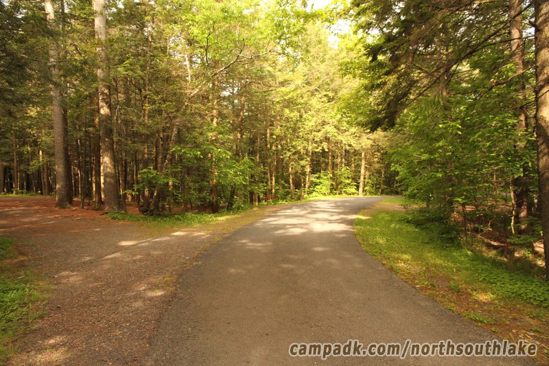 Campsite Photo of Site 63 at North South Lake Campground, New York - View Down Road from Campsite