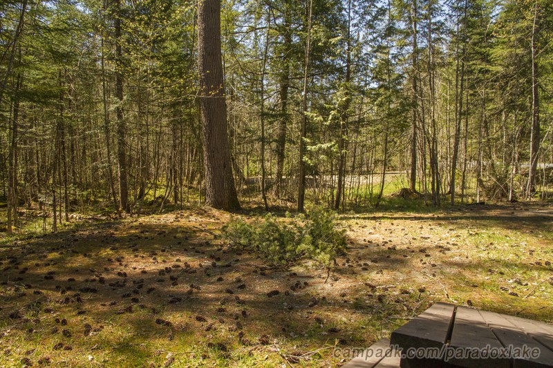 Campsite Photo of Site 2 at Paradox Lake Campground, New York - Cross Site View
