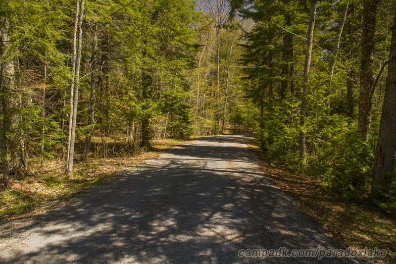 Campsite Photo of Site 2 at Paradox Lake Campground, New York - View Down Road from Campsite