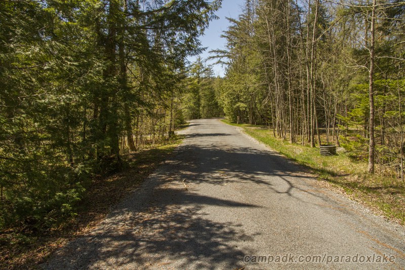 Campsite Photo of Site 2 at Paradox Lake Campground, New York - View Down Road from Campsite