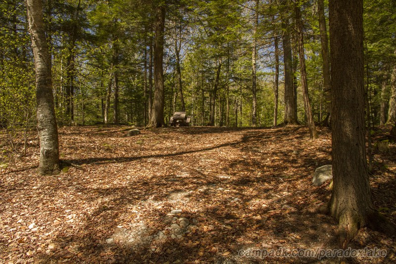Campsite Photo of Site 52 at Paradox Lake Campground, New York - Looking at Site from Road
