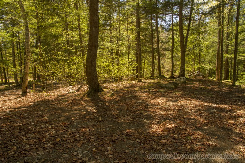 Campsite Photo of Site 52 at Paradox Lake Campground, New York - Cross Site View