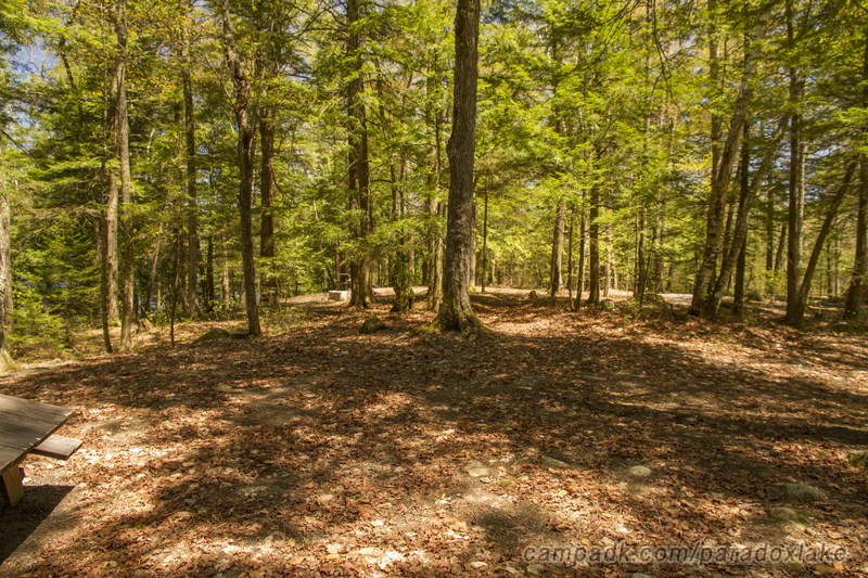 Campsite Photo of Site 52 at Paradox Lake Campground, New York - Cross Site View