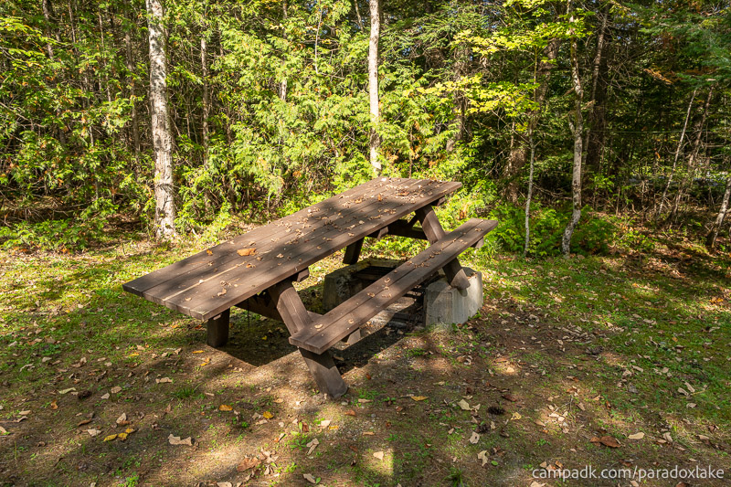 Campsite Photo of Site 2 at Paradox Lake Campground, New York - Fireplace View