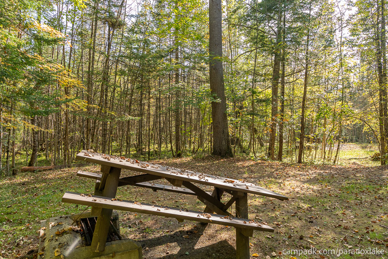Campsite Photo of Site 2 at Paradox Lake Campground, New York - Cross Site View