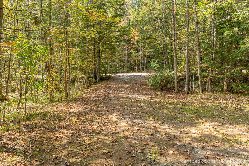 Campsite Photo of Site 2 at Paradox Lake Campground, New York - Looking Back Towards Road