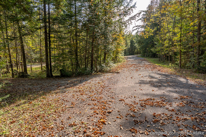 Campsite Photo of Site 2 at Paradox Lake Campground, New York - View Down Road from Campsite