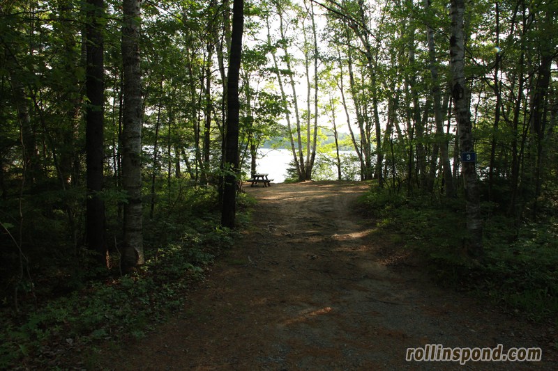Campsite Photo of Site 3 at Rollins Pond Campground, New York - Looking at Site from Road Sign Visible