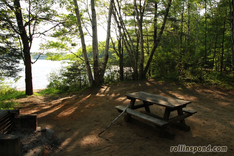 Campsite Photo of Site 3 at Rollins Pond Campground, New York - Cross Site View